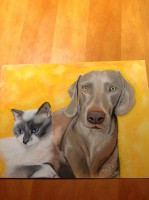 /album/galerie-photos/photo-927-jpg/